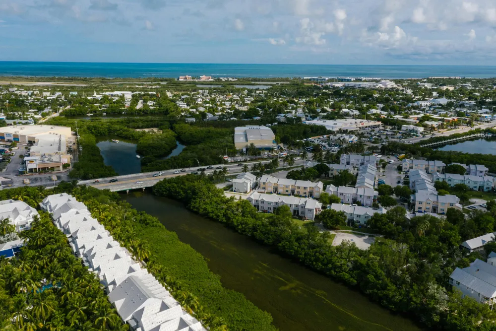 How to explain Real Estate License Lookup Florida Agents